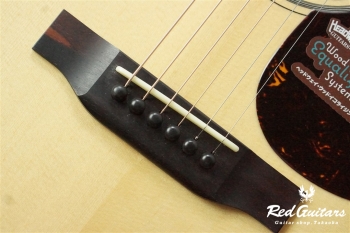 HD-113’ 20DX A,S/ATB AN